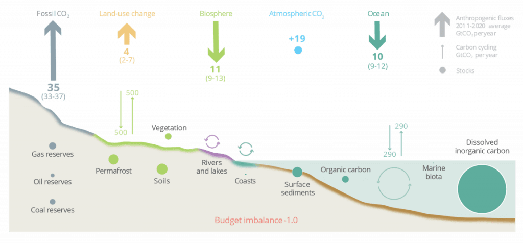 Global Carbon Cycle